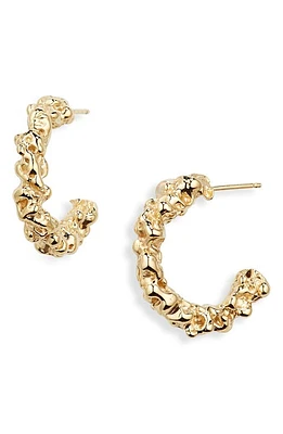 FARIS Roca Hoop Earrings in Gold at Nordstrom