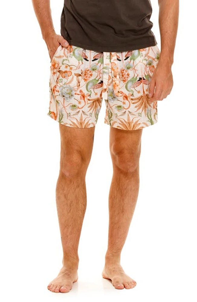 The Lazy Poet Ben Peach Jungle Pajama Shorts in Pink at Nordstrom, Size Large