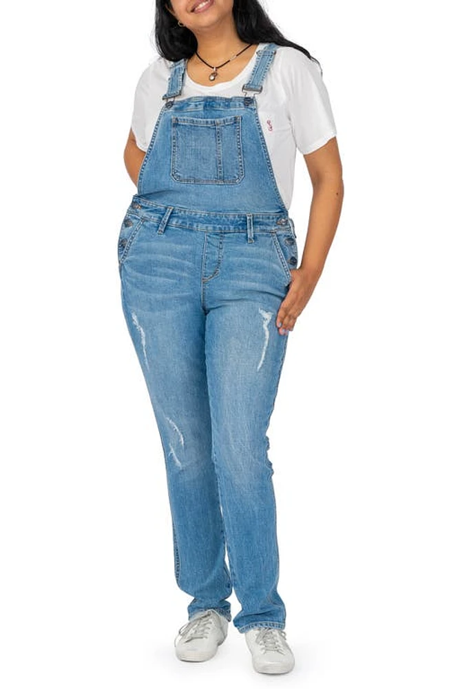 SLINK Jeans The Denim Overall Naomi at Nordstrom,