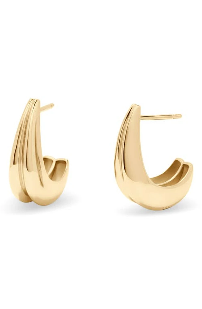 Brook and York Thea Hoop Earrings in Gold at Nordstrom