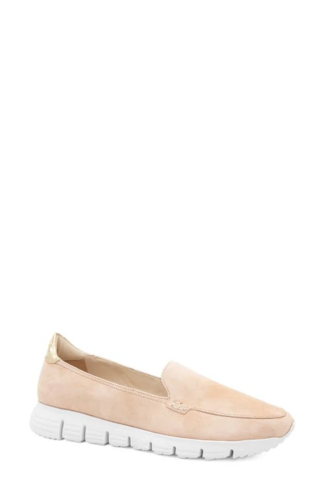 Amalfi by Rangoni Jake Flat Nude Cashmere/platino at Nordstrom,