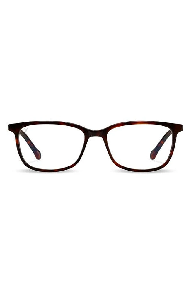 Vincero Camden 53mm Optical Glasses in Tortoise/Clear at Nordstrom