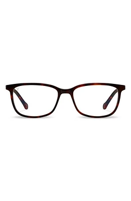 Vincero Camden 53mm Optical Glasses in Tortoise/Clear at Nordstrom