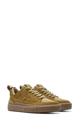 Clarks(r) Somerset Lace Sneaker Light Olive Suede at Nordstrom,