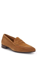 Paul Stuart Penny Loafer in Camel at Nordstrom, Size 10.5