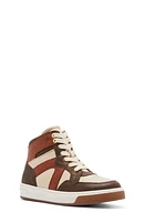 Steve Madden Krane High Top Sneaker in Brown Multi at Nordstrom, Size 1 M