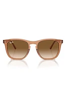 Ray-Ban 53mm Square Sunglasses in Transparent Blush at Nordstrom