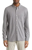 Johnston & Murphy XC Flex Birdseye Cotton Button-Down Shirt Light Gray at Nordstrom,