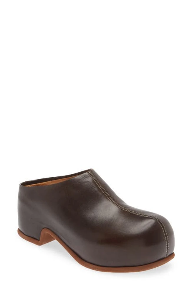 Dries Van Noten Platform Clog Qu110 Dbrown 704 at Nordstrom,