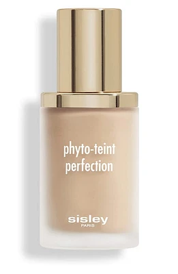 Sisley Paris Phyto-Teint Perfection Foundation in 2N1 Sand at Nordstrom, Size 1 Oz