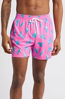 Chubbies Classic Lined 5.5-Inch Swim Trunks The Toucan Do Its at Nordstrom,