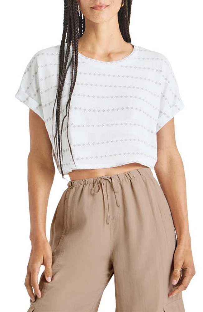 Splendid Skyler Pointelle Crop T-Shirt Rattan Stripe at Nordstrom,