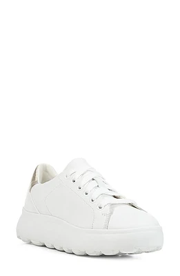 Geox Spherica Sneaker White/Gold at Nordstrom,