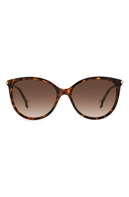 Carolina Herrera 57mm Round Sunglasses in Havana Gold at Nordstrom