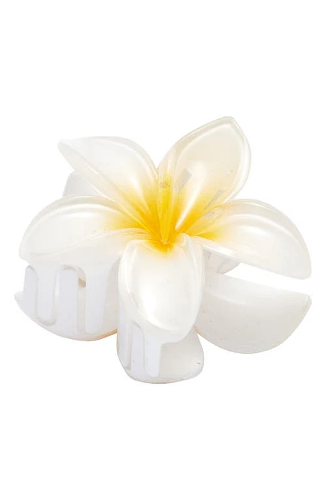 BP. Plumeria Claw Clip in White at Nordstrom