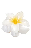 BP. Plumeria Claw Clip in White at Nordstrom