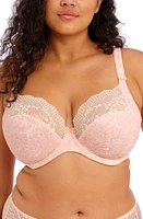 Elomi Lucie Full Figure Underwire Plunge Bra at Nordstrom,