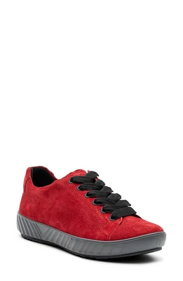 ara Alexandria Suede Sneaker Chili at Nordstrom,