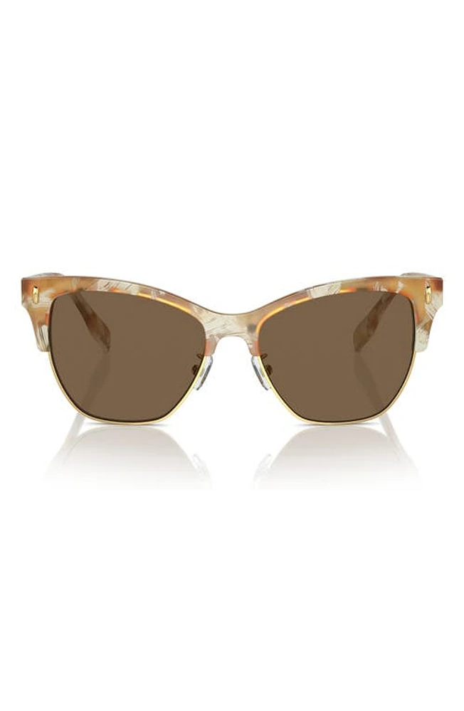 Tory Burch 53mm Cat Eye Sunglasses in Dark Brown at Nordstrom