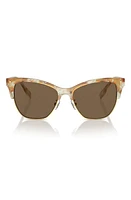 Tory Burch 53mm Cat Eye Sunglasses in Dark Brown at Nordstrom