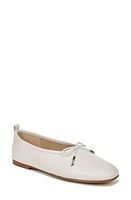 Sam Edelman Ari Ballet Flat at Nordstrom,