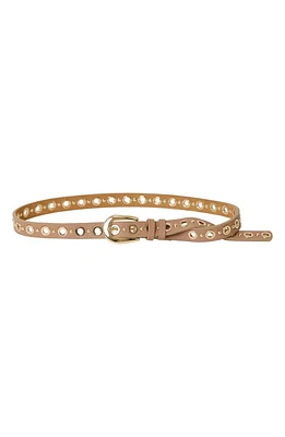 B-Low the Belt Lodyn Grommet Leather Belt in Vacchetta Gold at Nordstrom, Size Medium