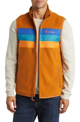 Cotopaxi Teca Fleece Vest in Kings Cake at Nordstrom, Size X-Large