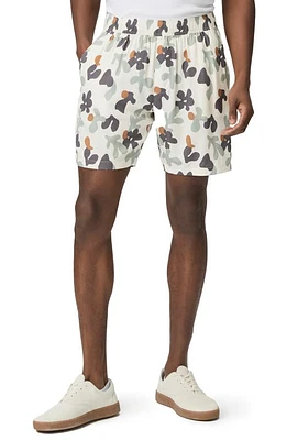 PAIGE Sanda Shorts Spring Breeze at Nordstrom,