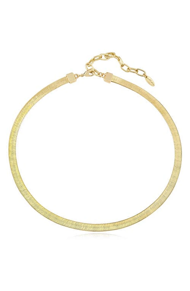 Ettika Flat Snake Chain in Gold at Nordstrom