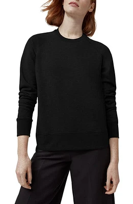 Canada Goose Muskoka Crewneck Sweatshirt Black - Noir at Nordstrom,