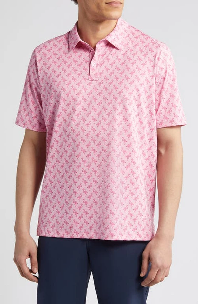 Johnston & Murphy XC4 Flamingo Print Performance Golf Polo Pink at Nordstrom, R