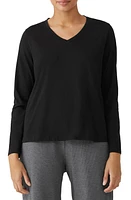 Eileen Fisher Organic Cotton V-Neck Long Sleeve T-Shirt in Black at Nordstrom, Size X-Small