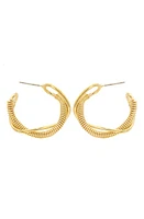 Panacea Coil Twist Hoop Earrings in Gold at Nordstrom