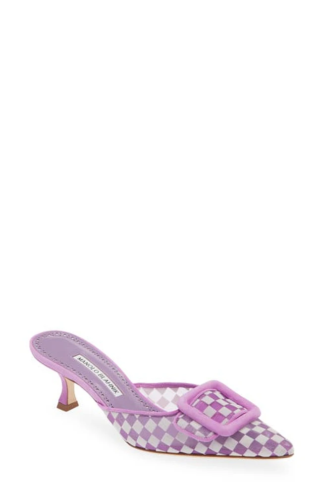 Manolo Blahnik Maysalebi Buckle Kitten Heel Mule Purple at Nordstrom,