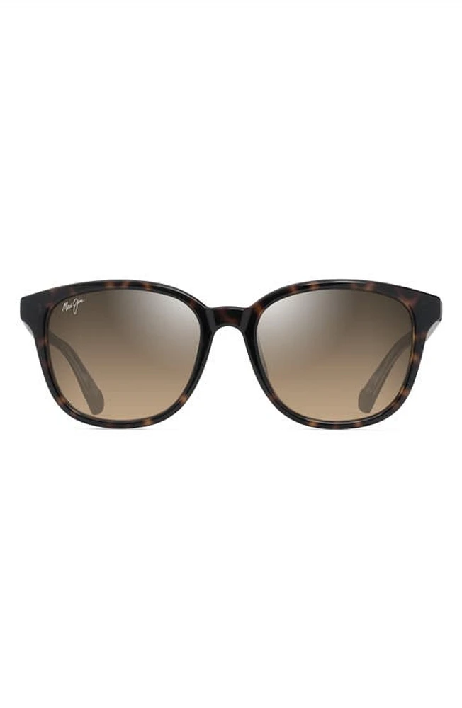 Maui Jim Kuikahi 55mm Gradient PolarizedPlus2 Square Sunglasses in Shiny Dark Havana W/trans Yllw at Nordstrom