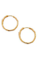 Monica Vinader Siren Muse Medium Hoop Earrings in Gp at Nordstrom