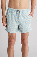 Open Edit Recycled Volley Swim Trunks at Nordstrom,