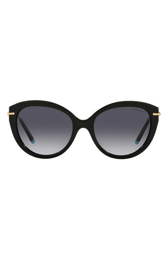 Tiffany & Co. 57mm Gradient Oval Sunglasses in Black at Nordstrom