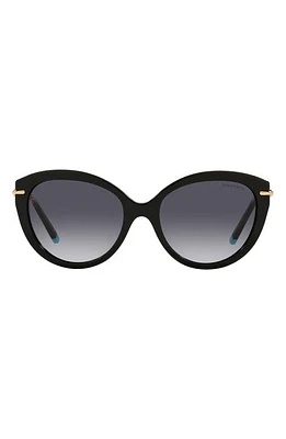 Tiffany & Co. 57mm Gradient Oval Sunglasses in Black at Nordstrom