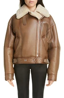 Acne Studios Genuine Shearling Moto Jacket Brown/Light Camel at Nordstrom, Us