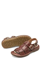 Børn Miguel Fisherman Sandal Dark Tan at Nordstrom,