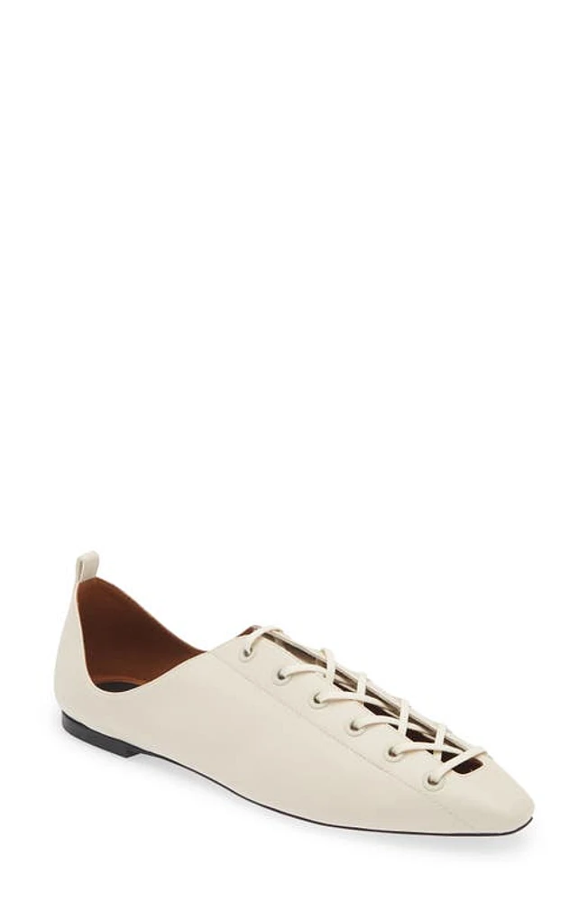 Stella McCartney Terra Lace-Up Ballerina Flat Greggio at Nordstrom,