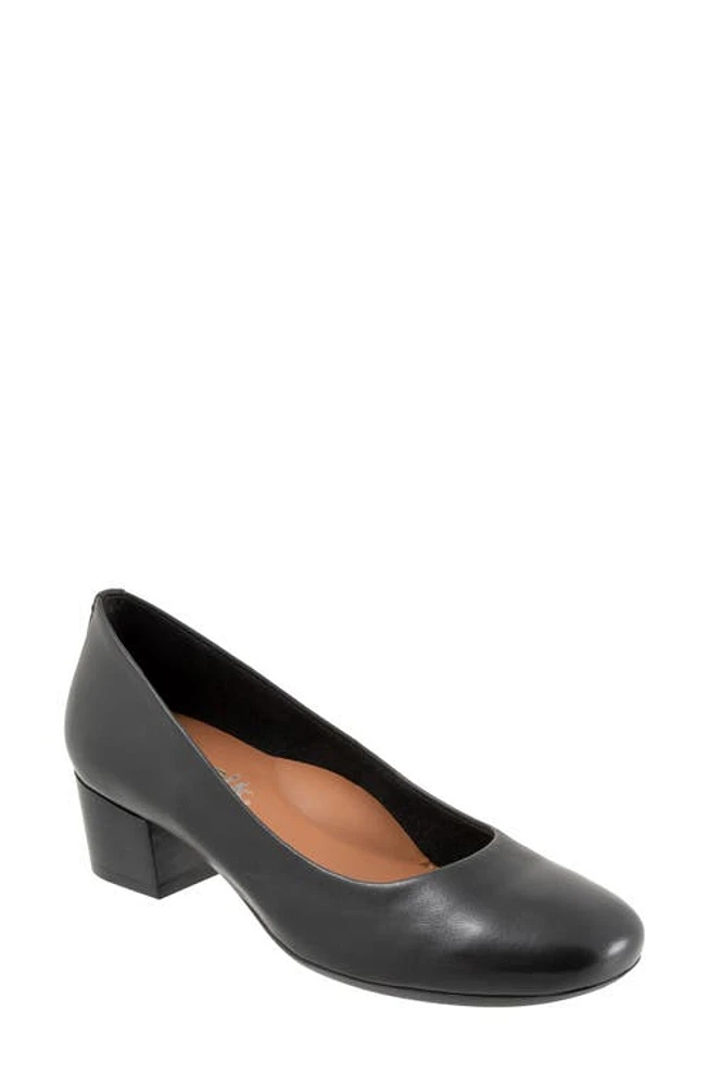 SoftWalk Lynn Pump Black at Nordstrom,