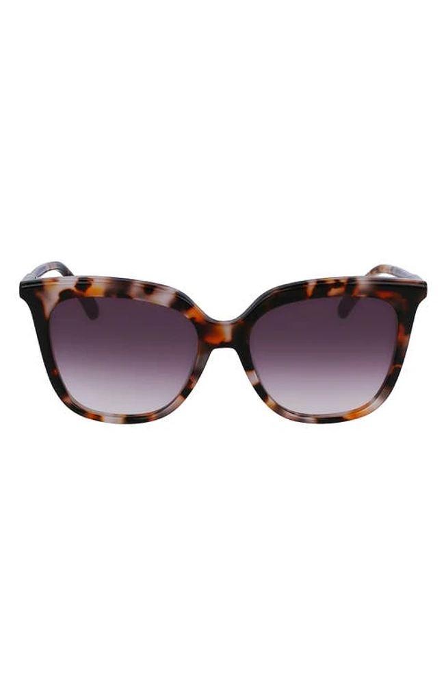 Longchamp 53mm Rectangular Sunglasses in Ochre Havana at Nordstrom