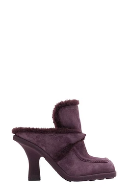 burberry Highland Genuine Shearling Mule Aubergine at Nordstrom,