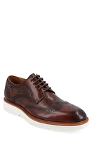 TAFT 365 Leather Wingtip Derby Espresso at Nordstrom,