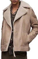 AllSaints Rasco Genuine Shearling Moto Jacket Faded Taupe at Nordstrom,