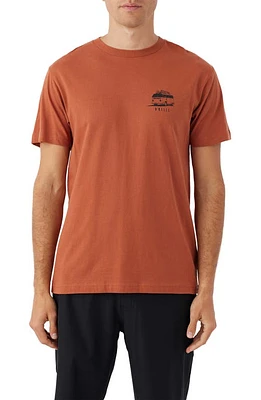 O'Neill Clear View Graphic T-Shirt in Clay at Nordstrom, Size Small