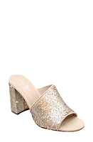 Charles by David Reveal Sandal at Nordstrom,