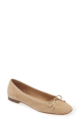 ANN MASHBURN Square Toe Ballet Flat Suede at Nordstrom